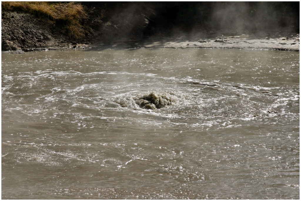 04 - Yellowstone NP (31).jpg